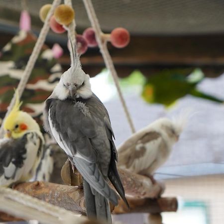 Maerchencamping สตูห์ร ภายนอก รูปภาพ